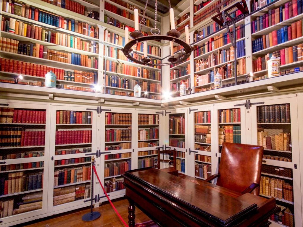 Palazzo-Library
